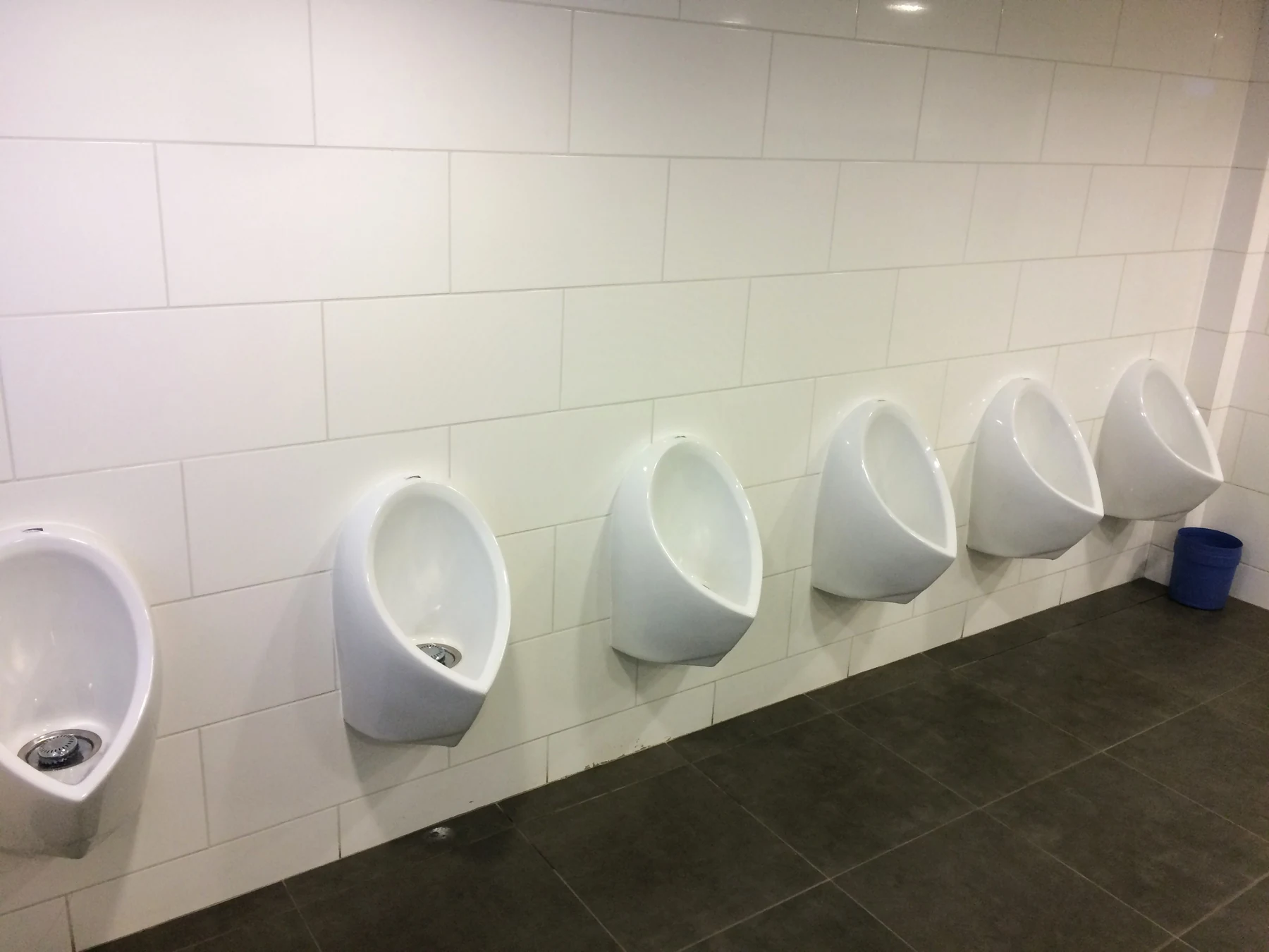 Fila de urinarios ecológicos instalados en un baño institucional